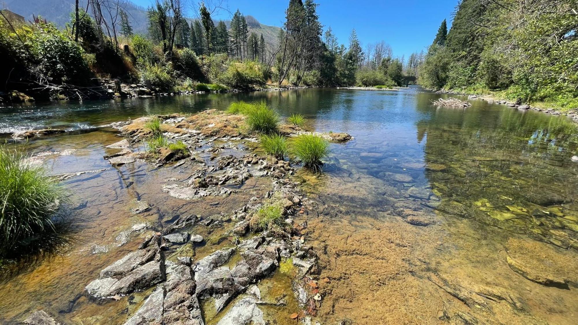 Blue River Mckenzie River Mountain Resort מראה חיצוני תמונה